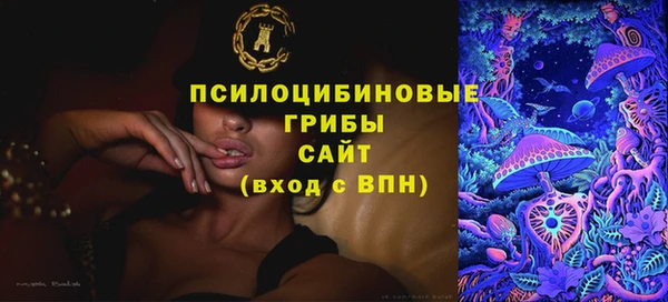 гидра Балахна