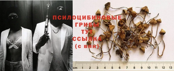 а пвп мука Баксан