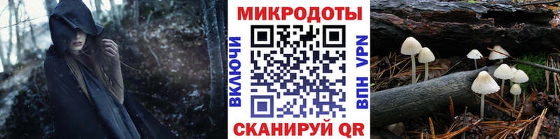 Галлюциногенные грибы ЛСД  KRAKEN онион  Сергач  как найти  